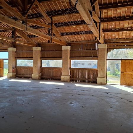 Villa Mas De Bonnafoux à Beaucaire  Extérieur photo
